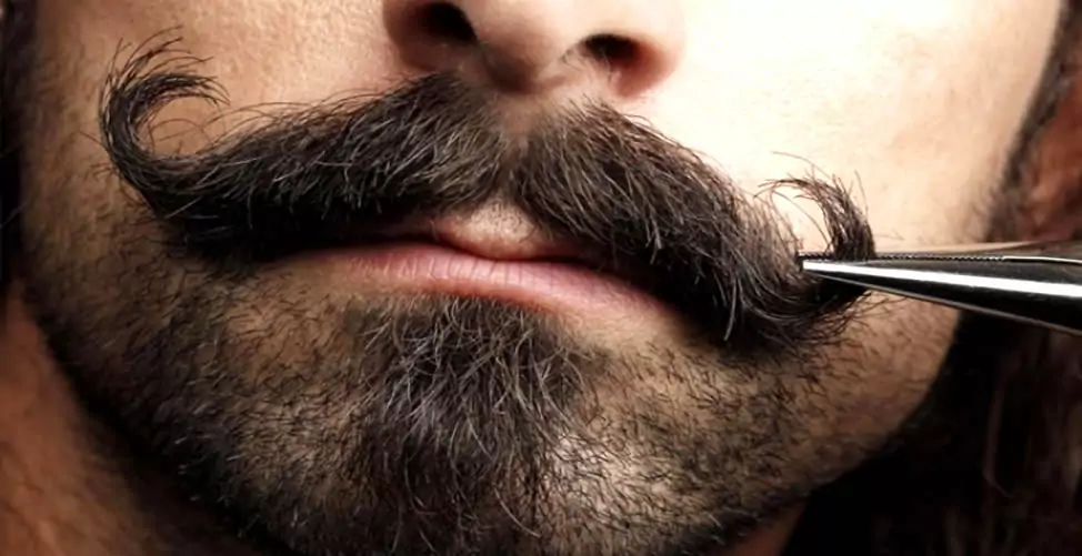 Cuidando do seu Beardstache