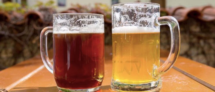 diferenças entre a cerveja ale e lager