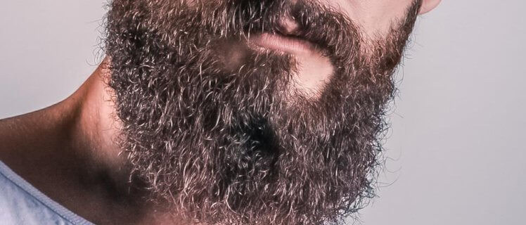 frizz-na-barba