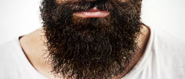 barba dura