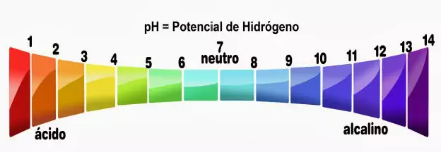 escala de ph shampoo