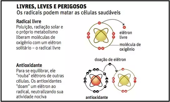 cafe-previne-doencas-cronicas