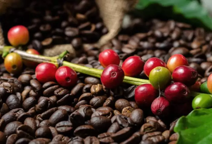 vitaminas do café