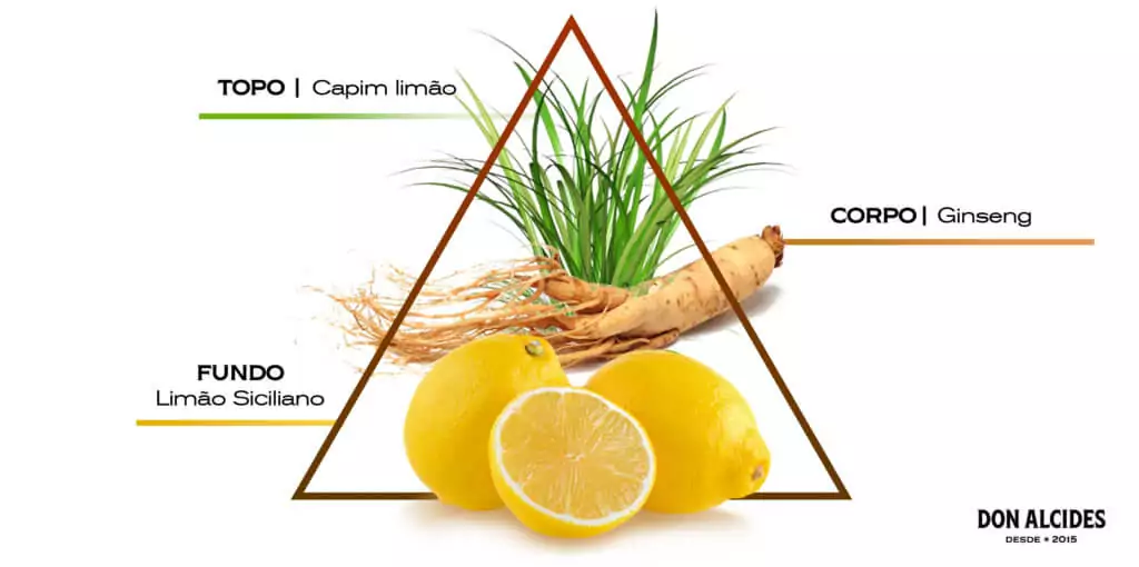 Pirâmide olfativa Lemon Bone Don Alcides